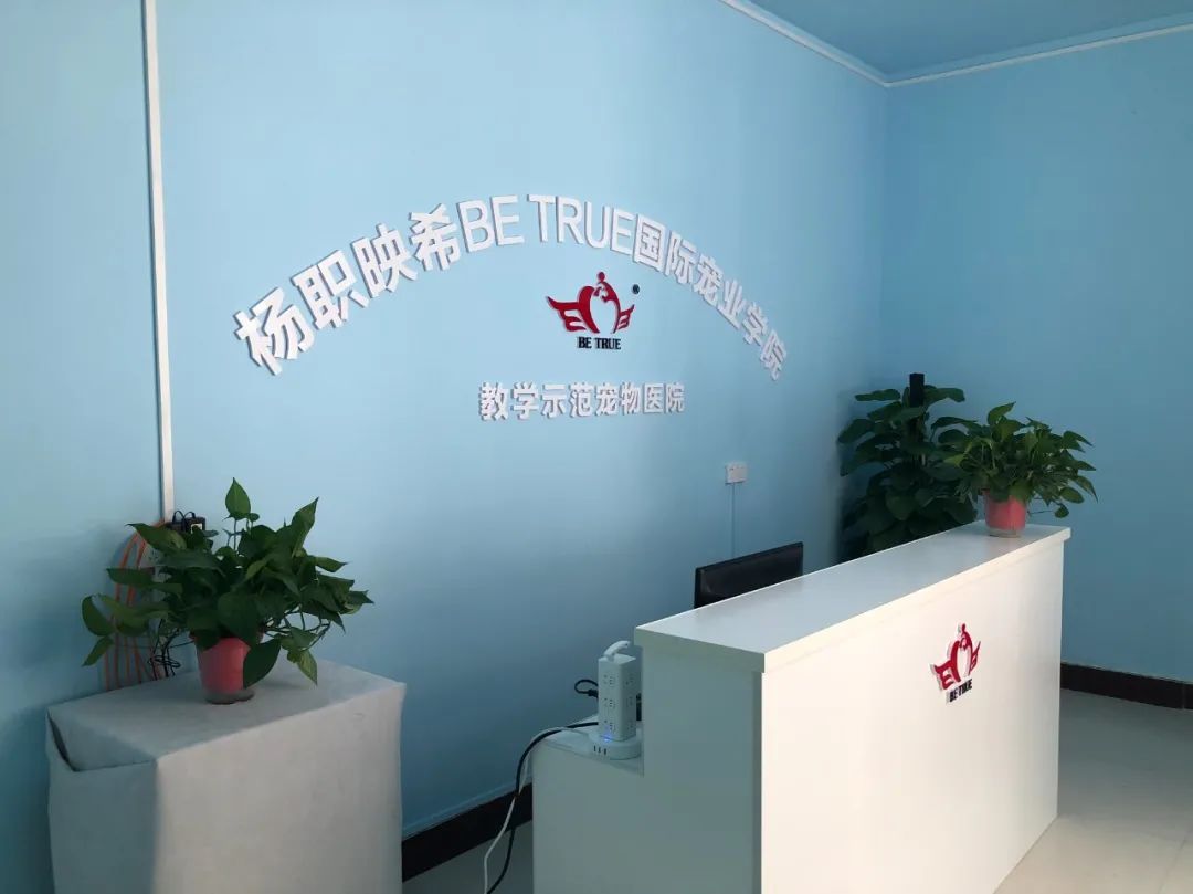 微信图片_20200915113126.jpg